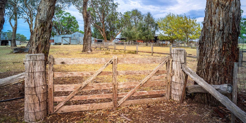 The Last Gate