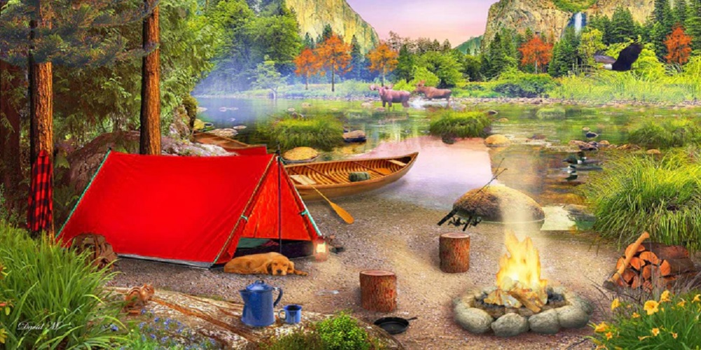 Wilderness Trip