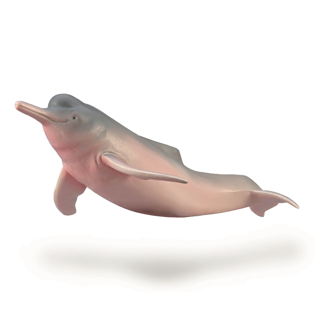Amazon River Dolphin