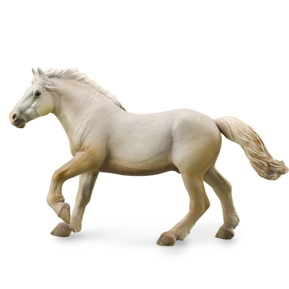 American Cream Draft Stallion