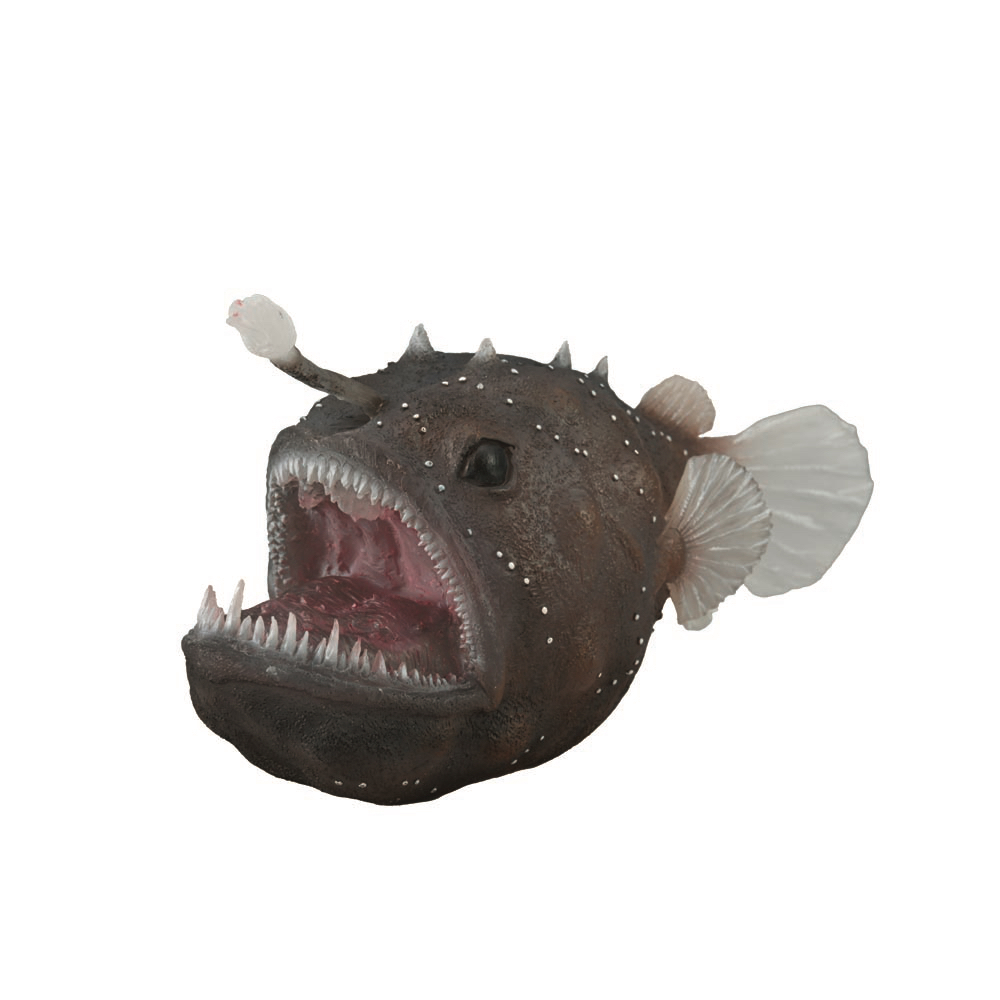 Anglerfish