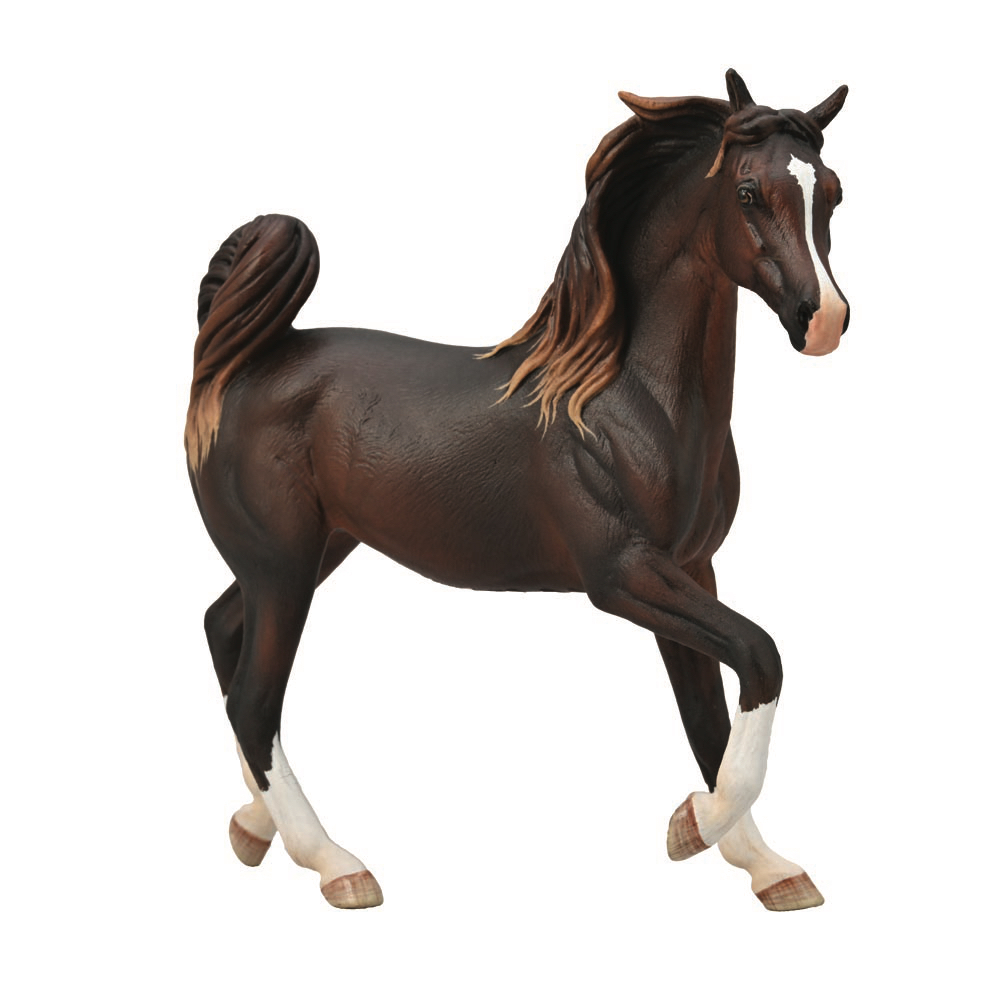 Arabian Mare Liver Chestnut