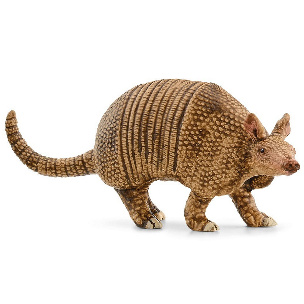 Armadillo