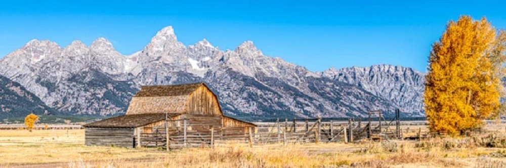 Barn Below The Tetons
