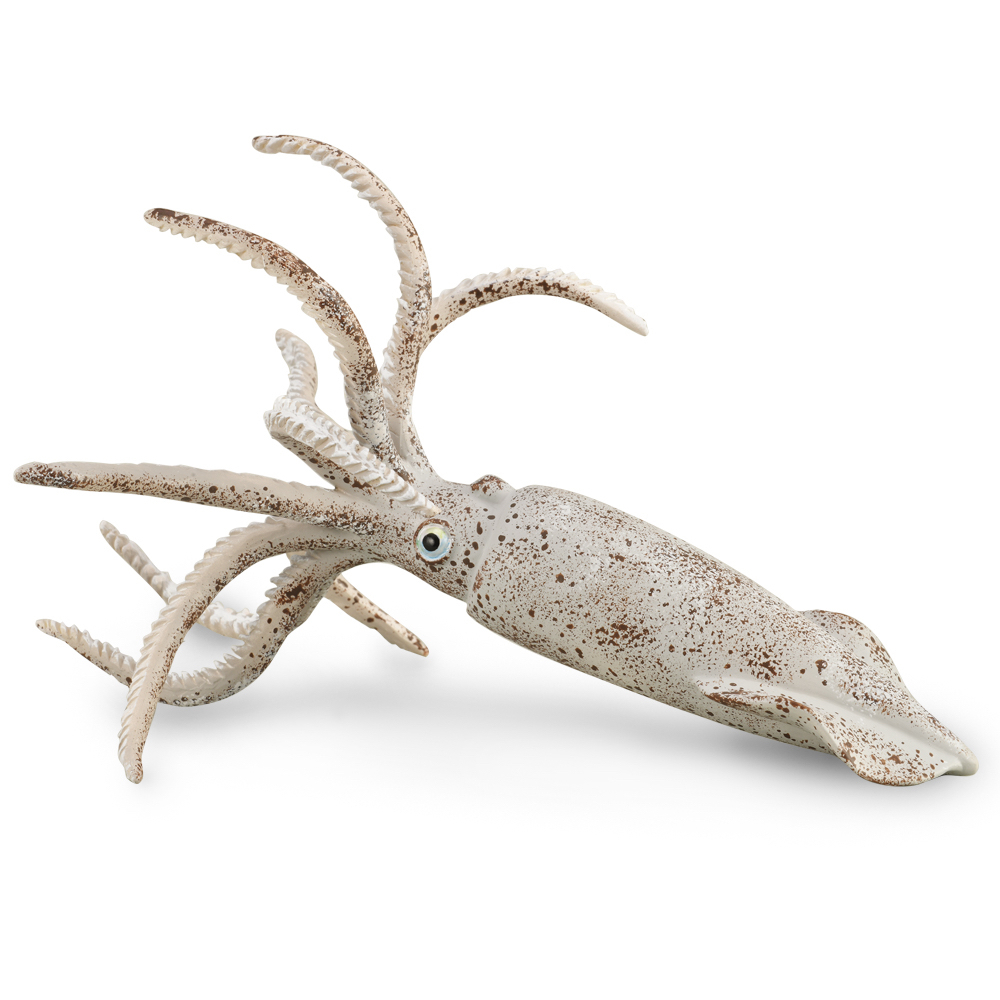 Belemnite