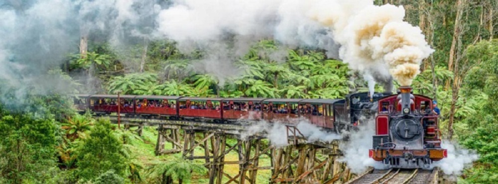 Belgrave Steamers Panorama
