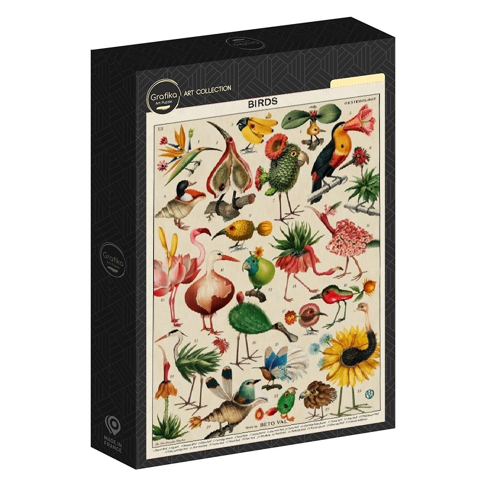 Birds By Beto Val (1)