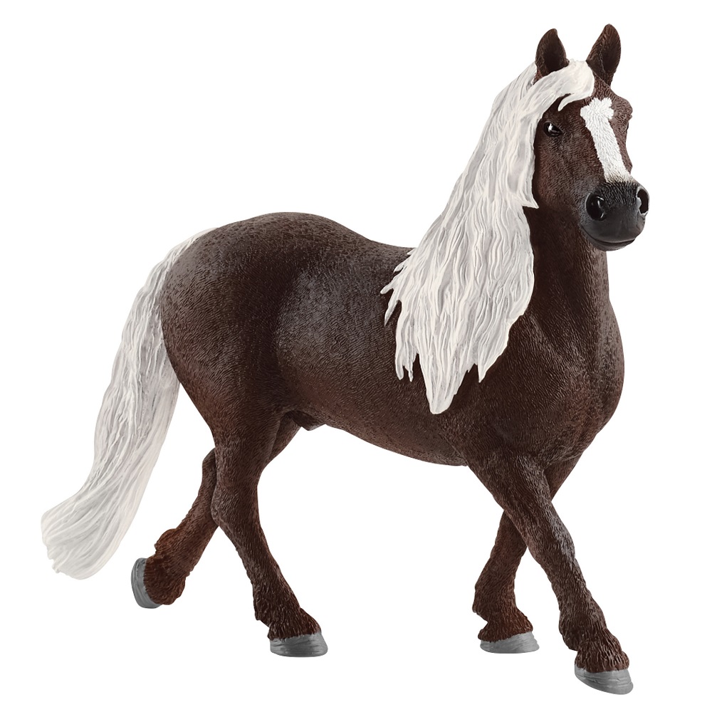 Black Forest Stallion