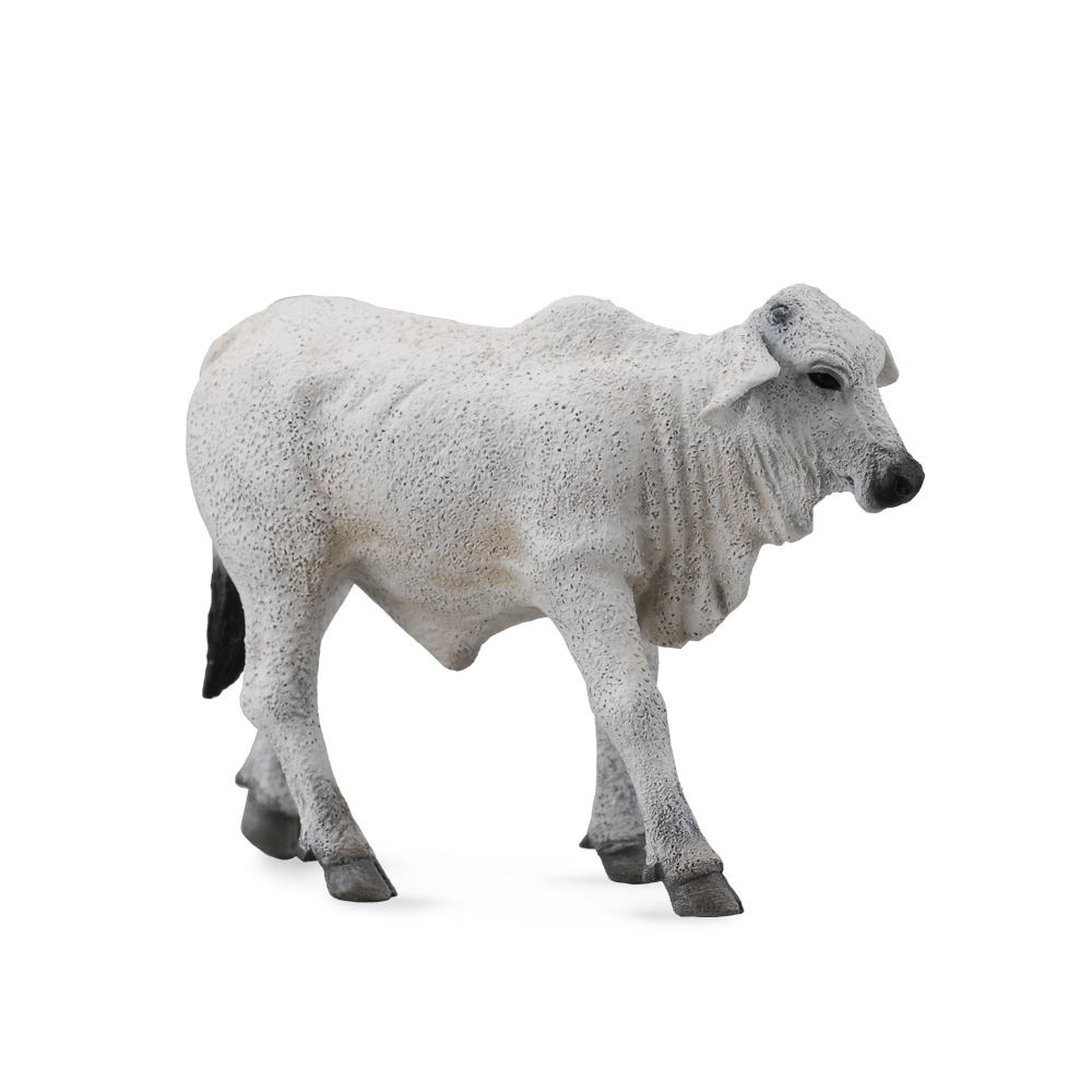 Brahman Calf Grey