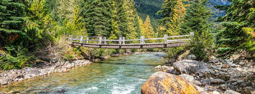Bridge Over The Rapids Panorama 