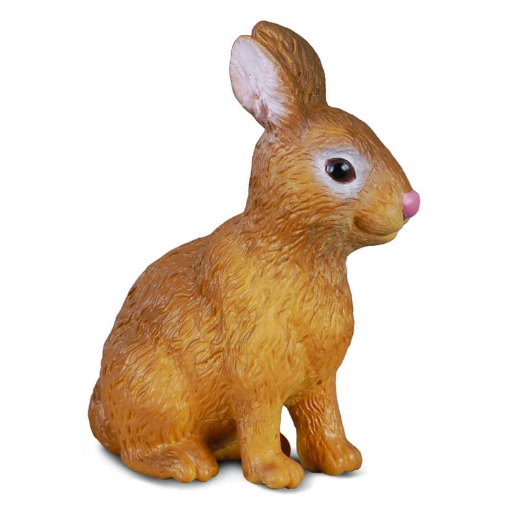 Brown Rabbit