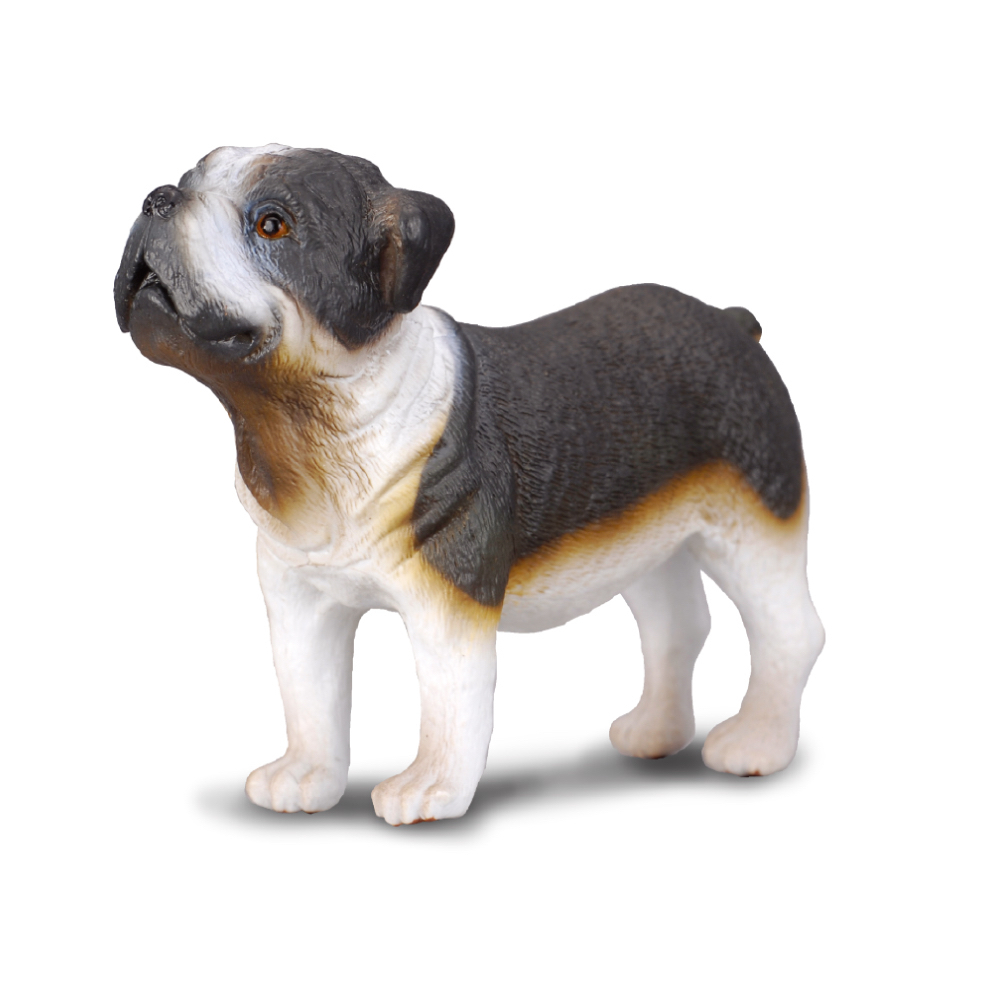 Bulldog