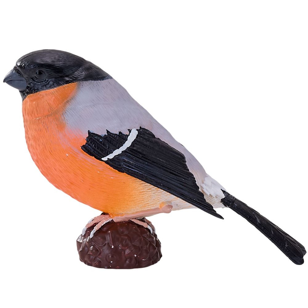 Bullfinch