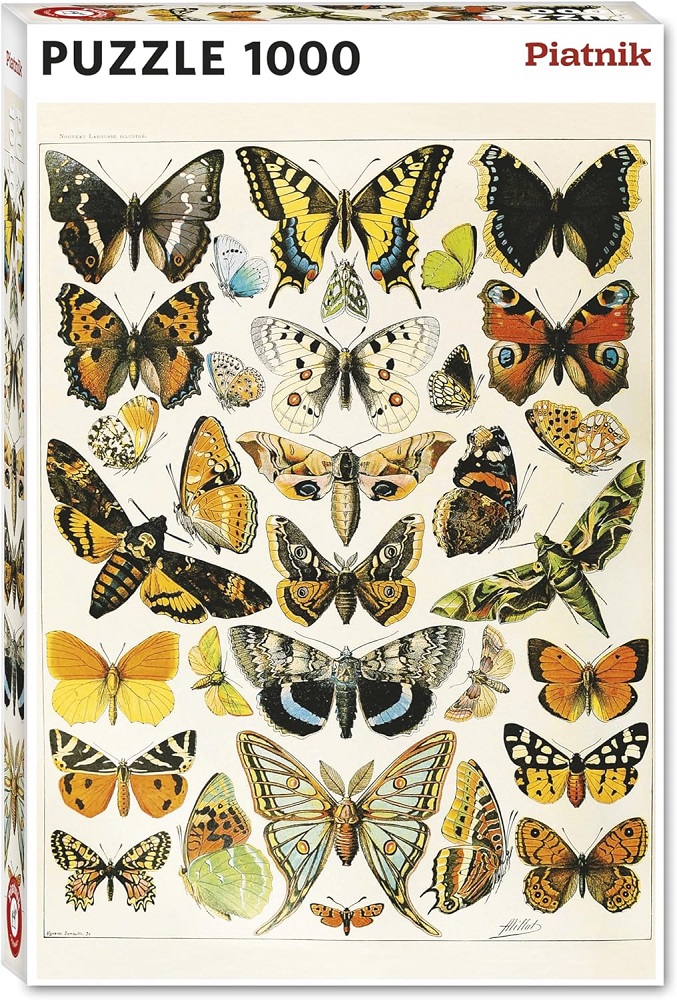 Butterflies & Moths
