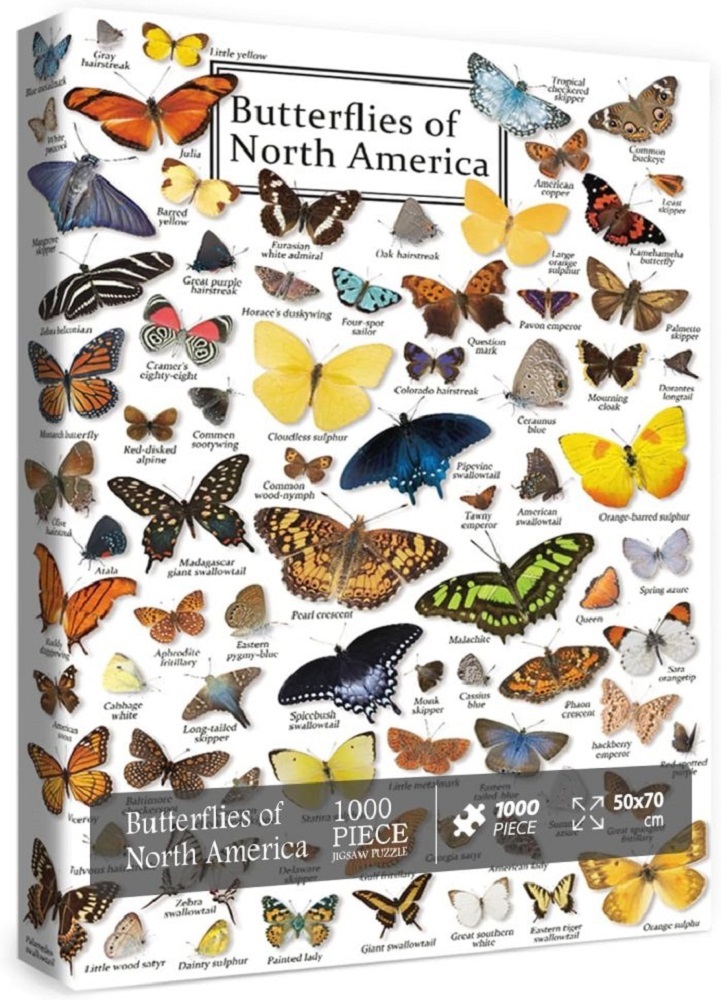 Butterflies Of North America