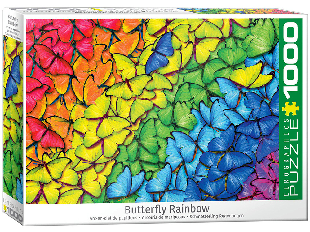 Butterfly Rainbow
