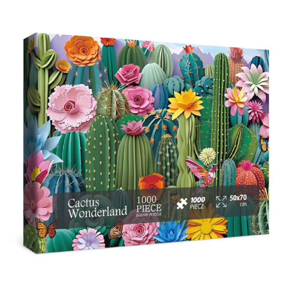 Cactus Wonderland