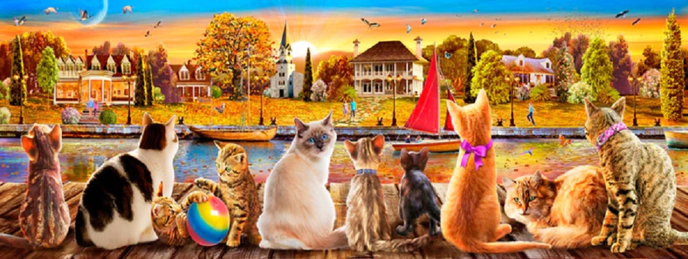 Cats On The Quay