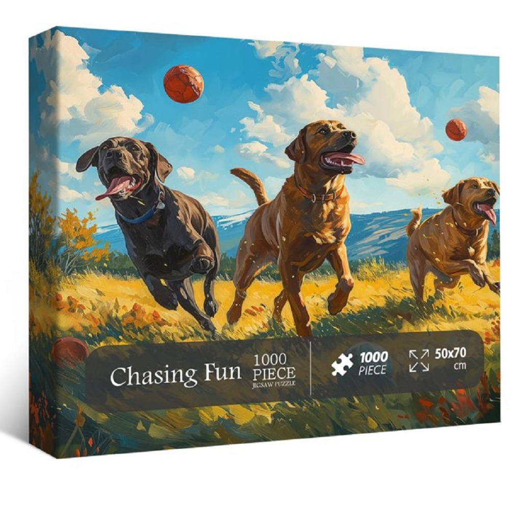 Chasing Fun