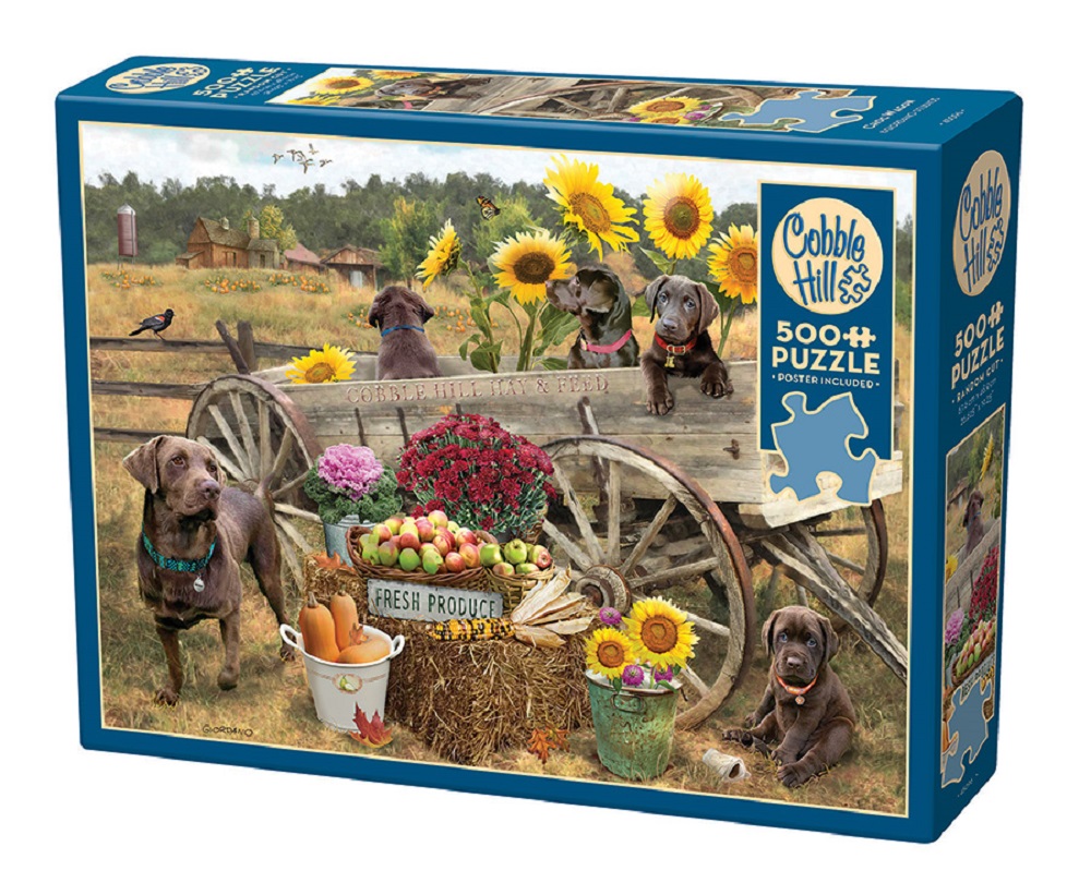Choc Wagon (2)