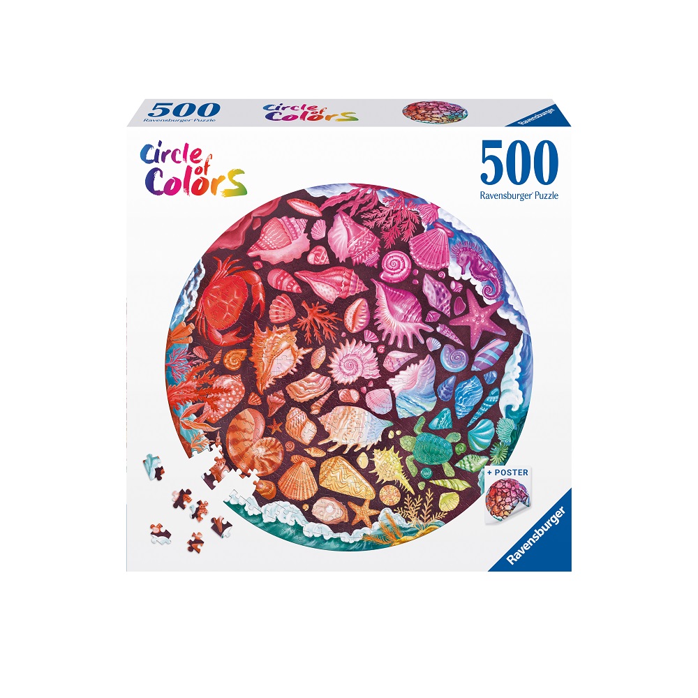 Circle Of Colours - Seashells 