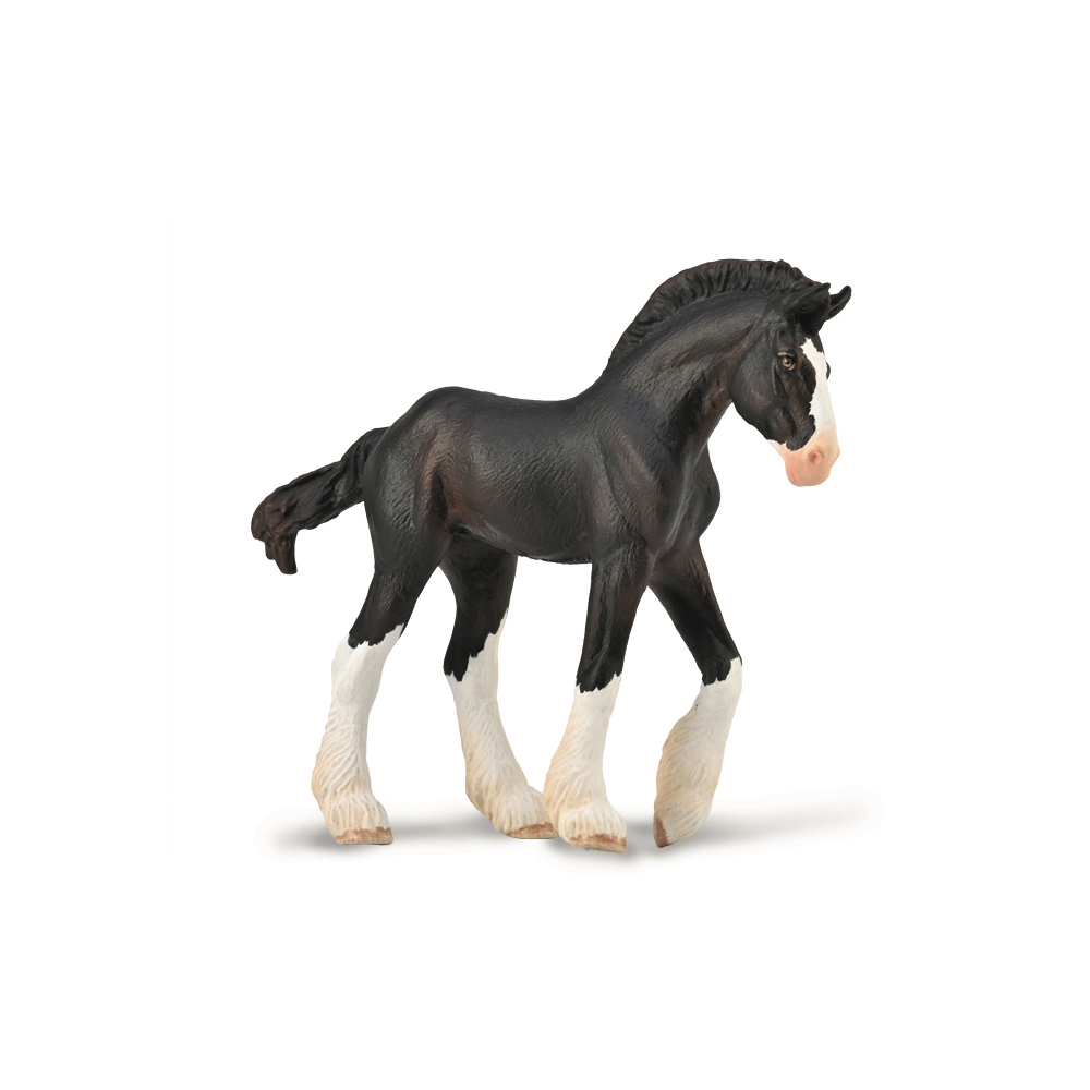 Clydesdale Foal Black