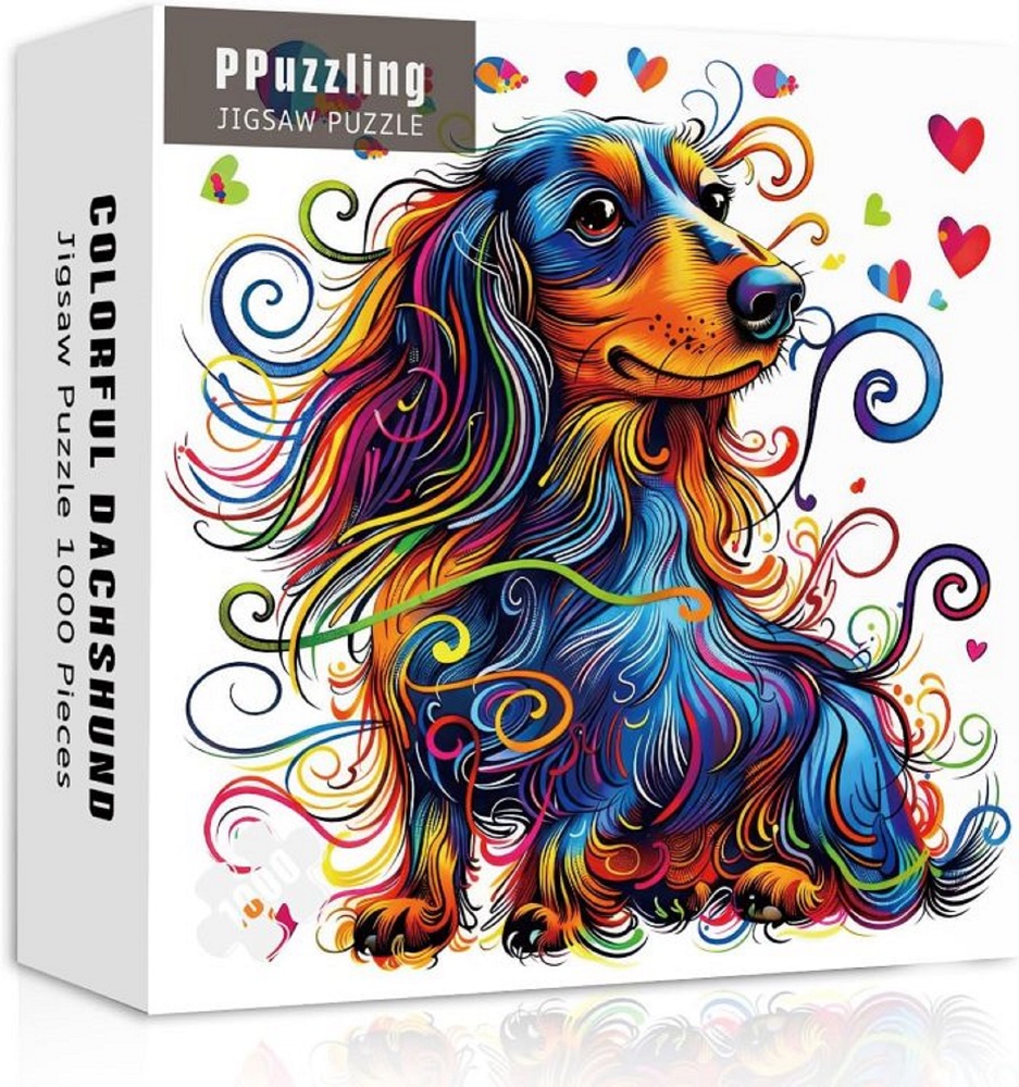 Colourful Dachshund