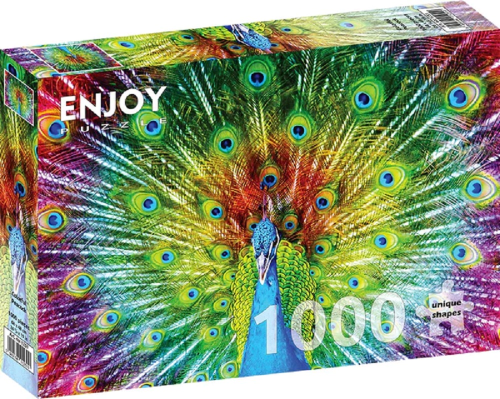 Colourful Peacock