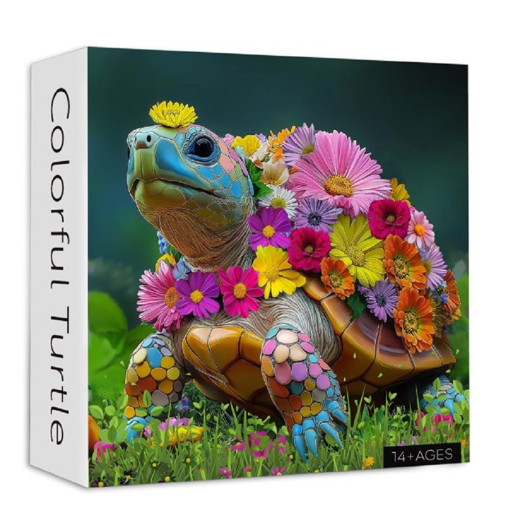 Colourful Turtle