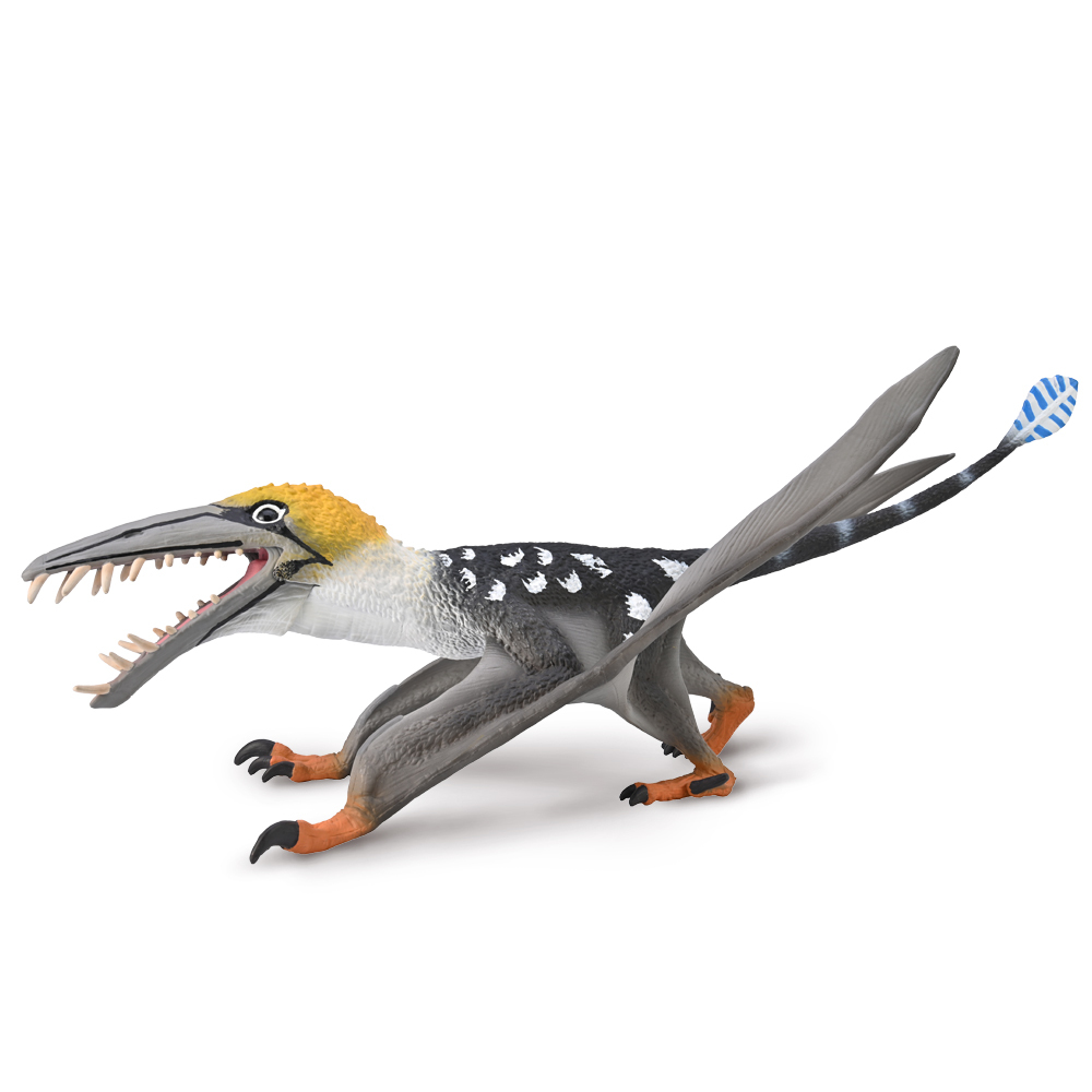 Dearc Sgiathanach Deluxe With Moveable Jaw 1:6 scale