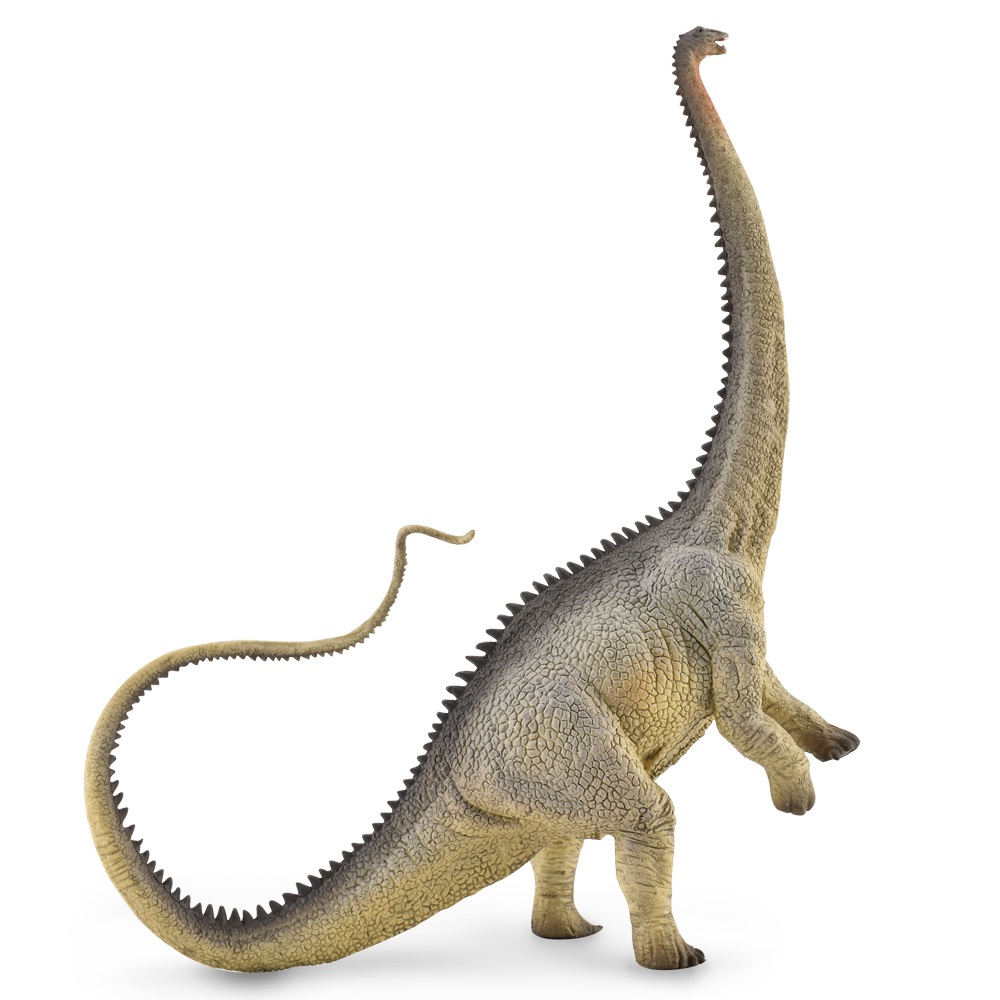 Diplodocus Grey