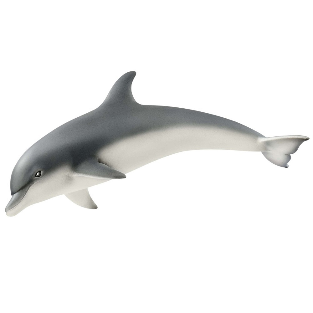 Dolphin