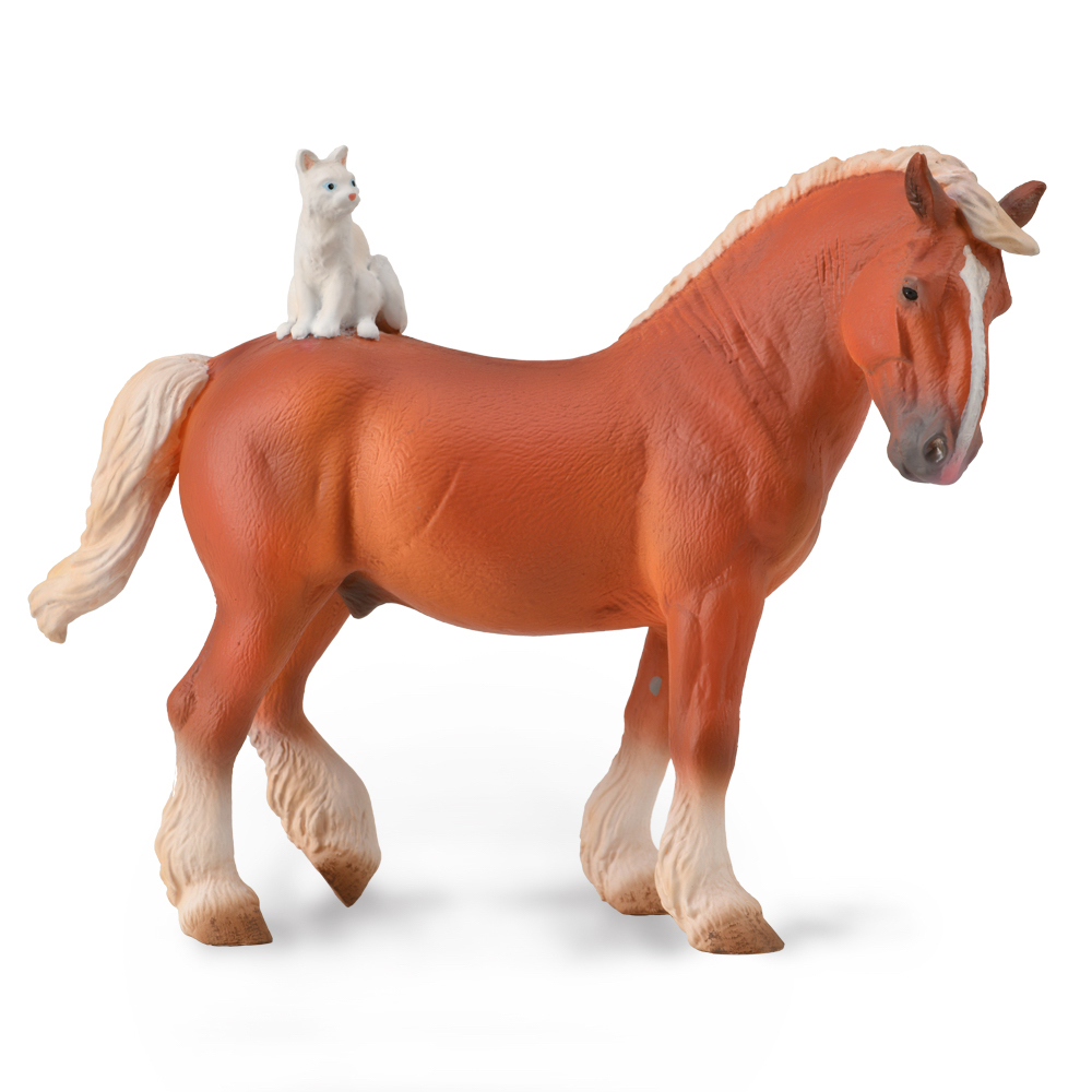 Draft Horse With Cat