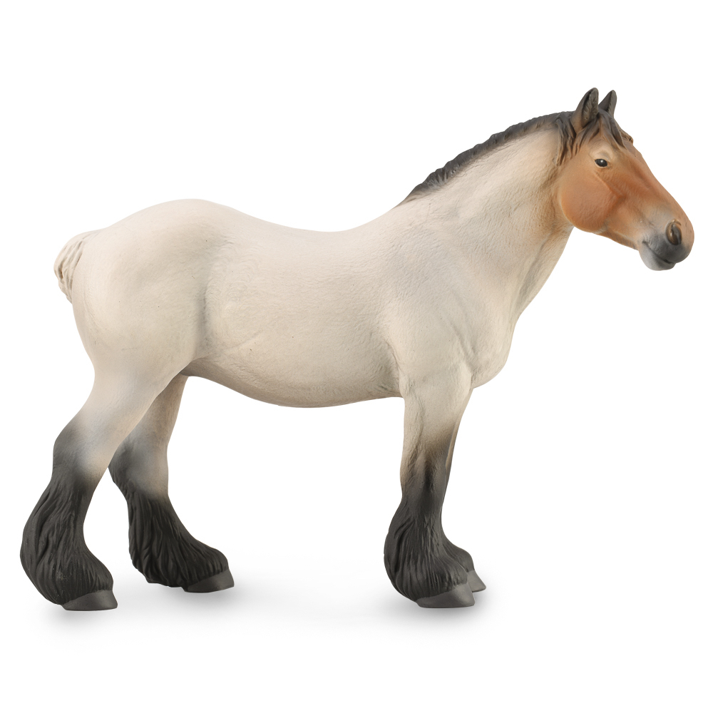 Dutch Draft Mare Roan