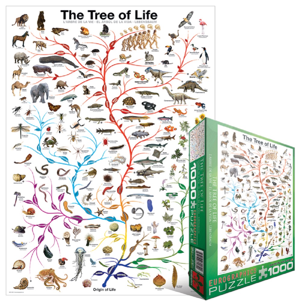 The Tree Of Life 