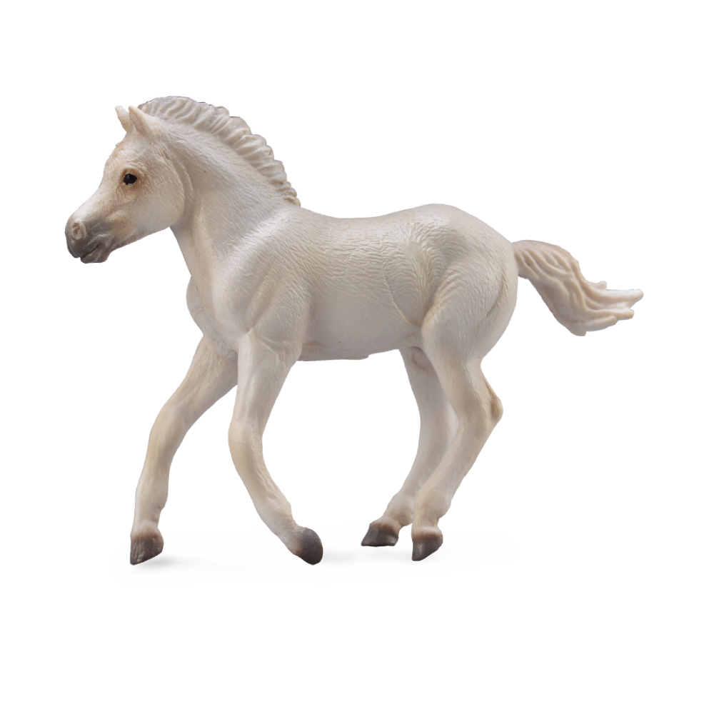 Fjord Horse Foal Grey