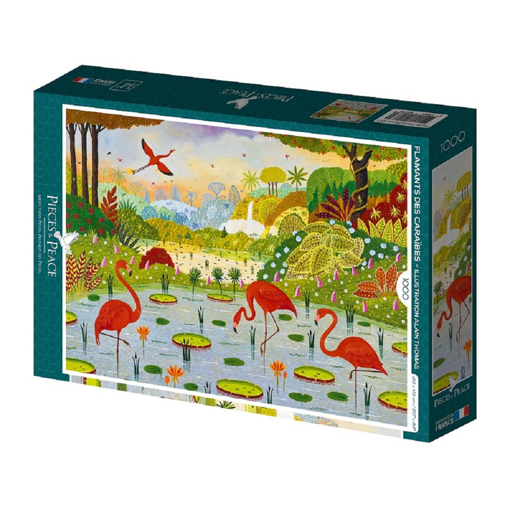 Caribbean Flamingos 