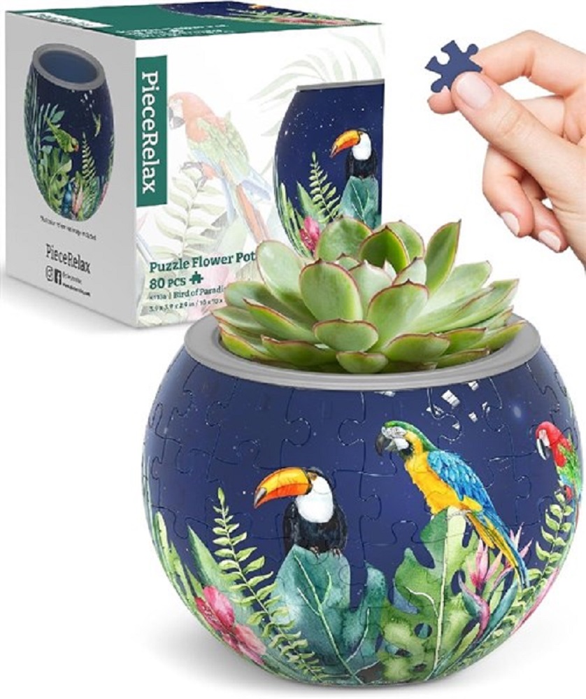 Flowerpot - Bird Of Paradise