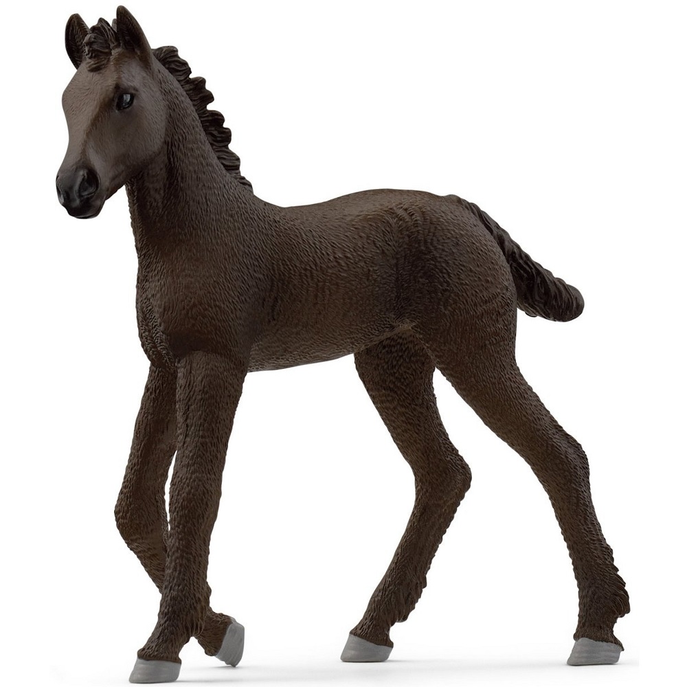 Frisian Foal