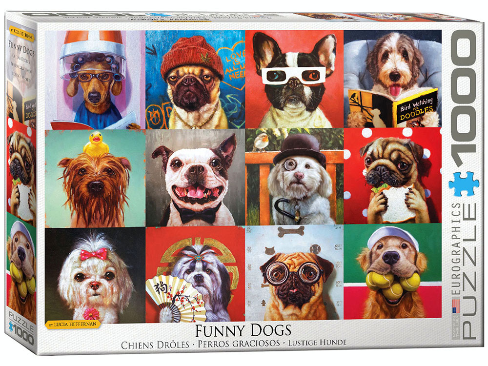 Funny Dogs