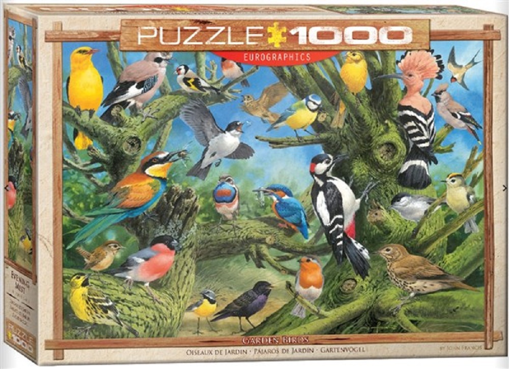 Garden Birds