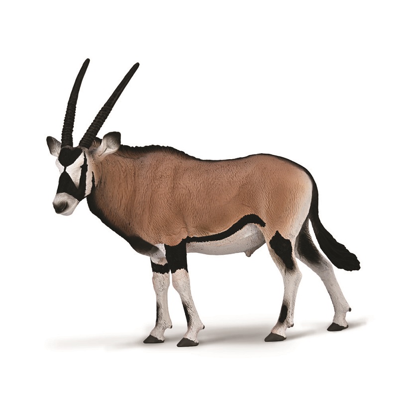 Gemsbok