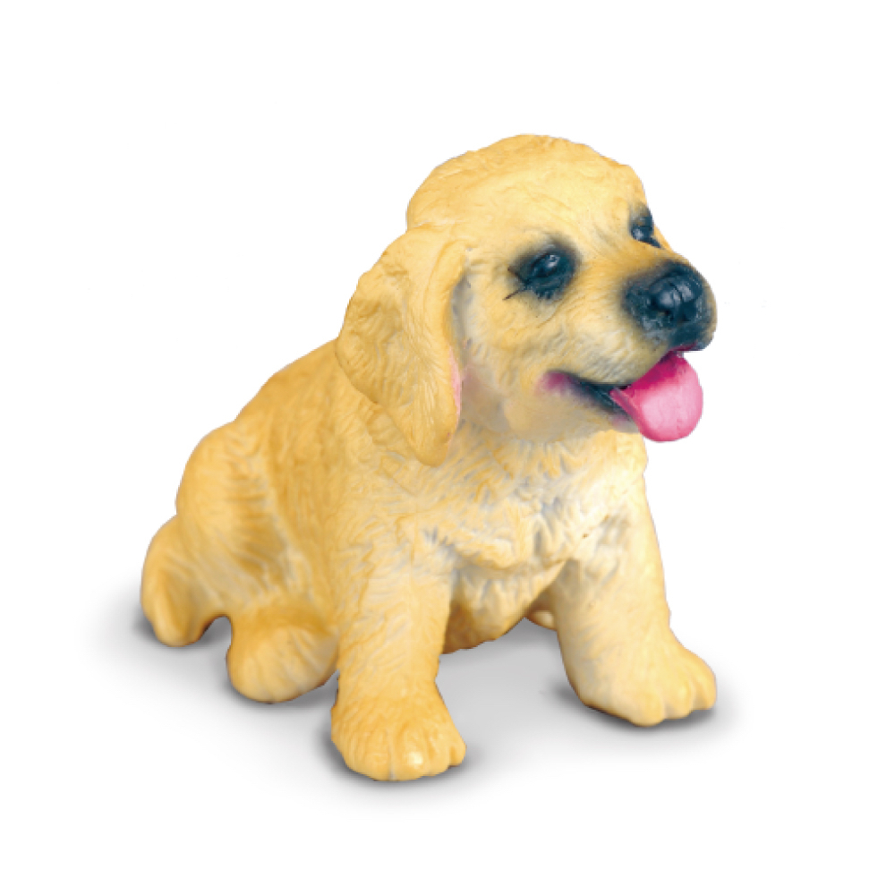 Golden Retriever Pup