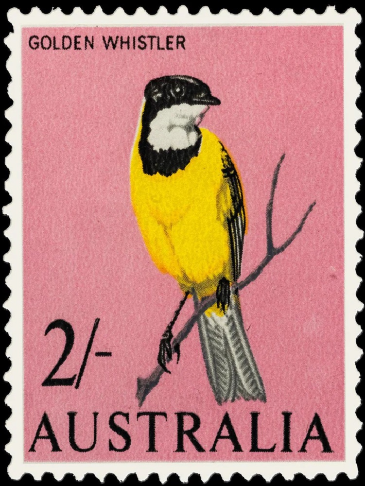 Golden Whistler