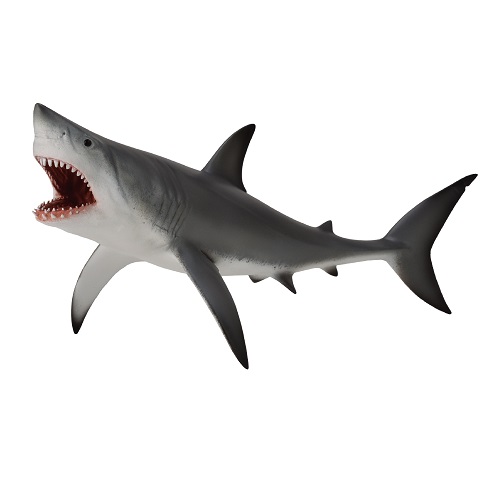 Great White Shark