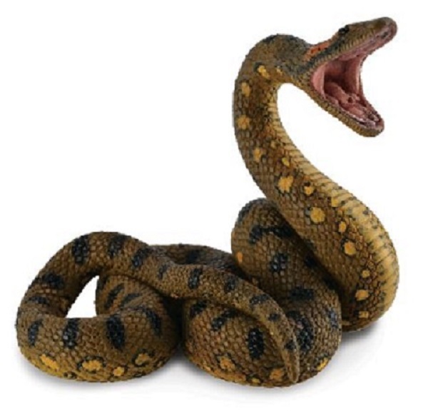 Green Anaconda