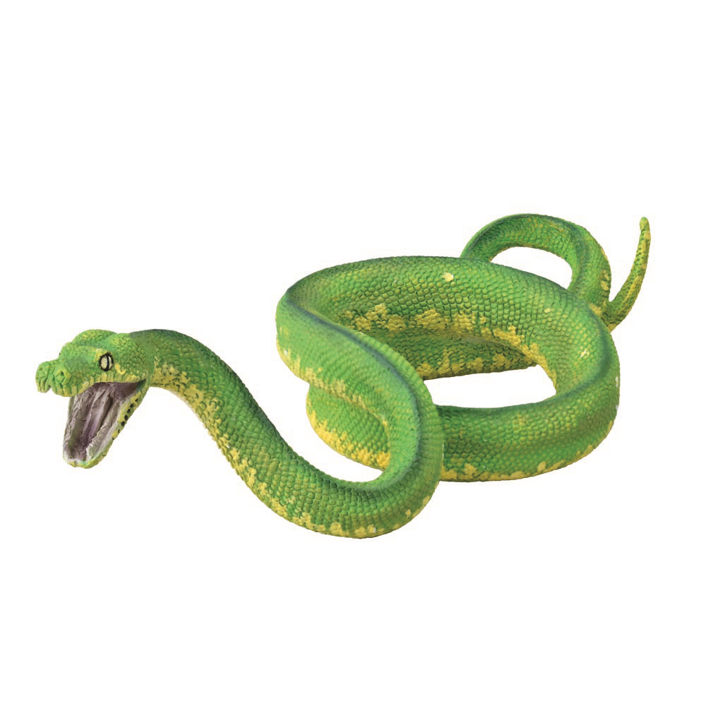 Green Tree Python