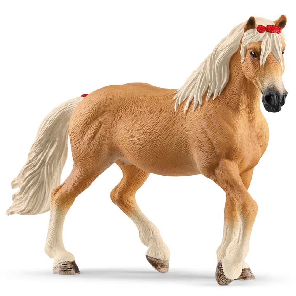 Haflinger Mare