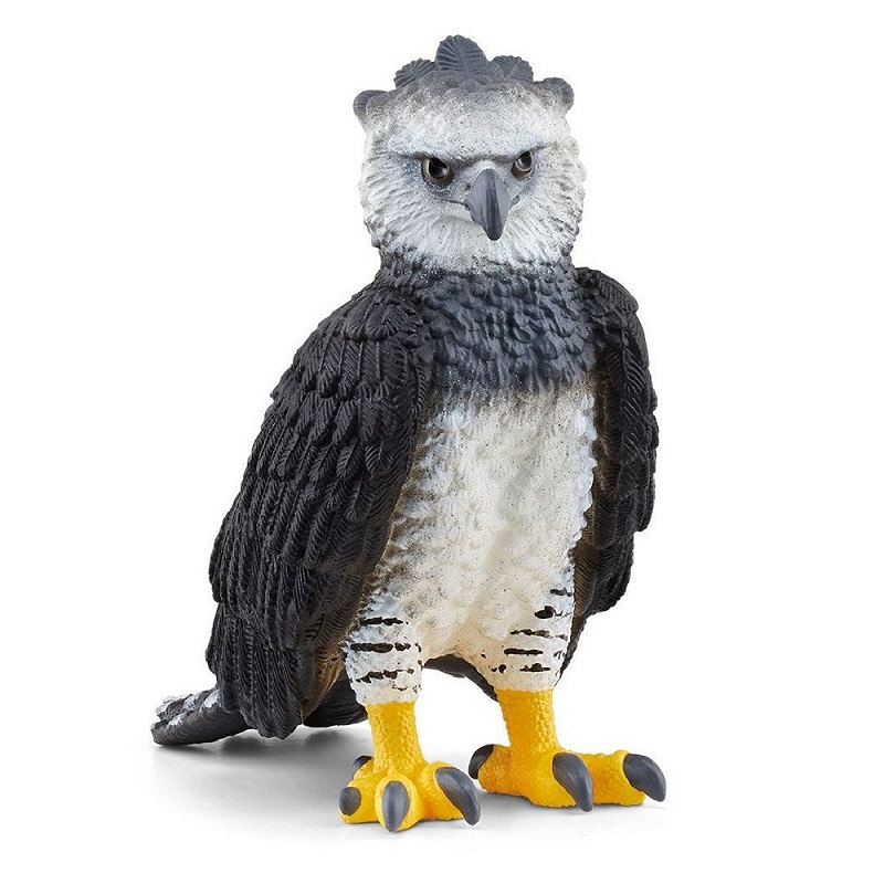 Harpy Eagle
