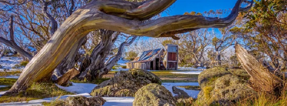 High Country Hut 